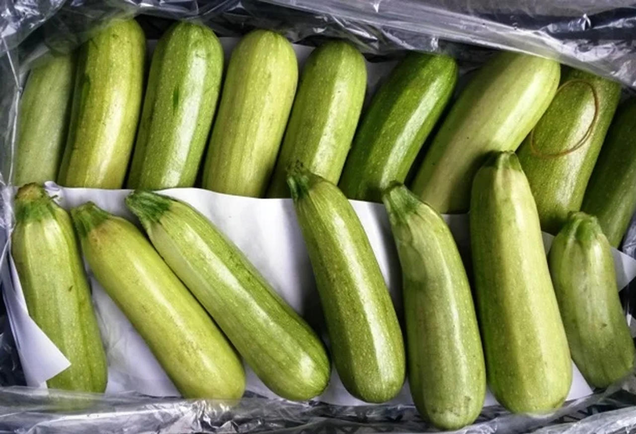 ledusskapī