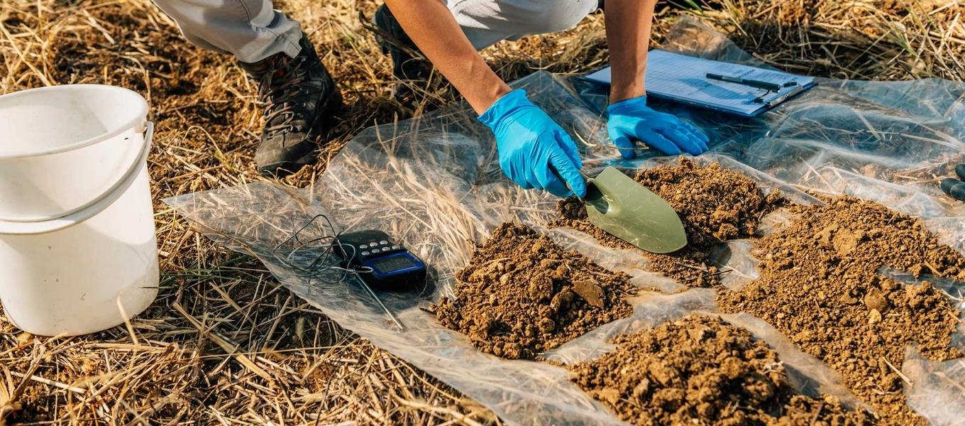 Jauns pētījums apgalvo, ka dzīvnieku ekskrementi var burtiski pārvērst sausās augstkalnu augsnes par dzīves oāzēm, paātrinot šo procesu par 100 gadiem.