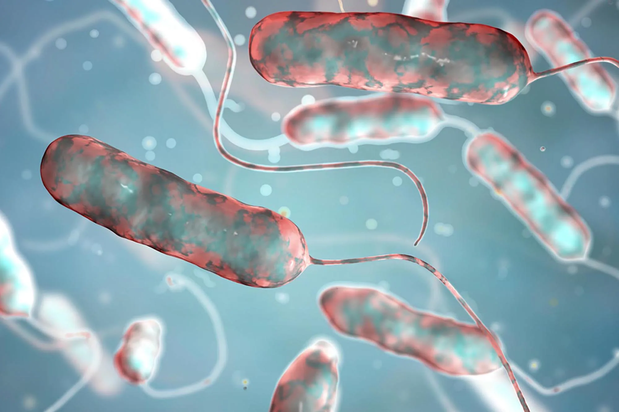 Kas ir legionella — slimība, kas izplatās Ņujorkā? Vai gaisa kondicionieri var veicināt tās izplatīšanos?