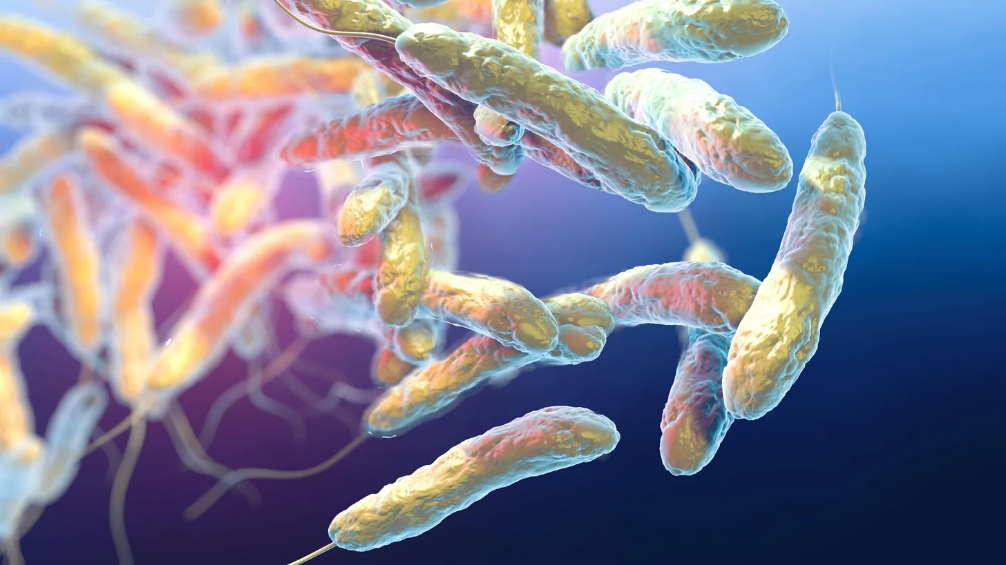 Kas ir legionella — slimība, kas izplatās Ņujorkā? Vai gaisa kondicionieri var veicināt tās izplatīšanos?